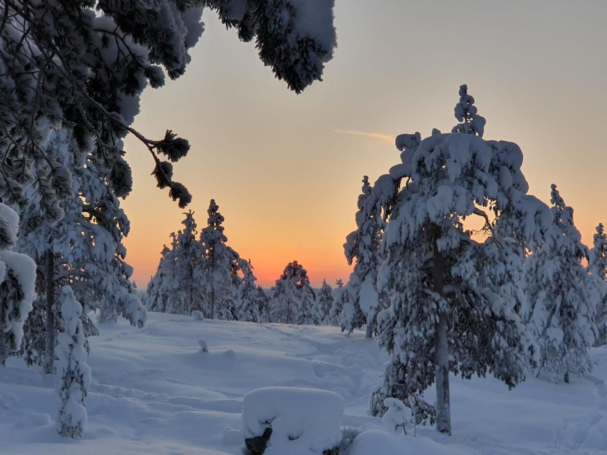 Make Yourself At Home Rovaniemi Bagian luar foto