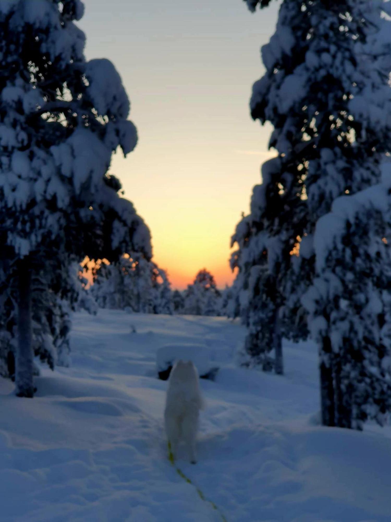 Make Yourself At Home Rovaniemi Bagian luar foto
